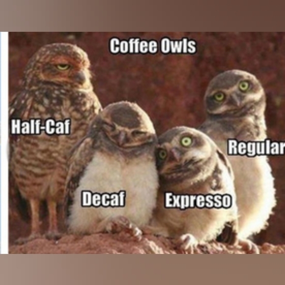 Please, feel free to send me an offer - Picture 10 of 10